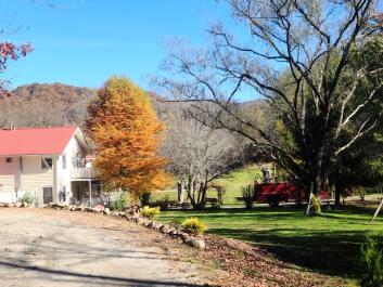 B&B Fall Colors