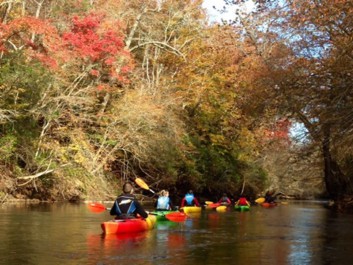 Kayaks on the Etowah River