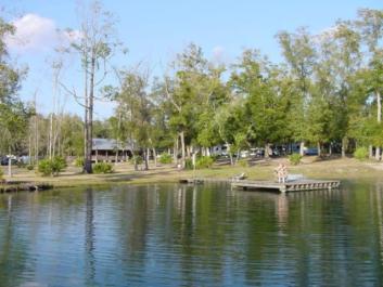 Pond