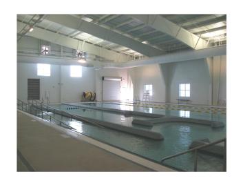 Therapy Pool