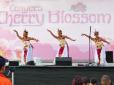 cultural performances at annual Conyers Cherry Blossom Festival