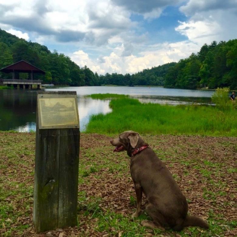 Things to do in Blairsville