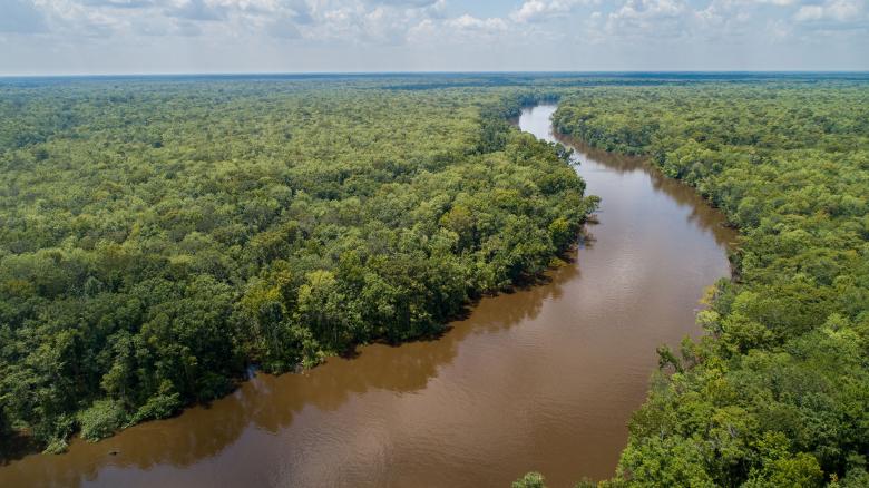 Aerial view of Altamaha River in South Georgia