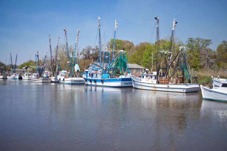 Shrimp boats on the Darien River in Darien, Georgia