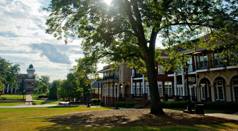 Town Green in Duluth, Georgia