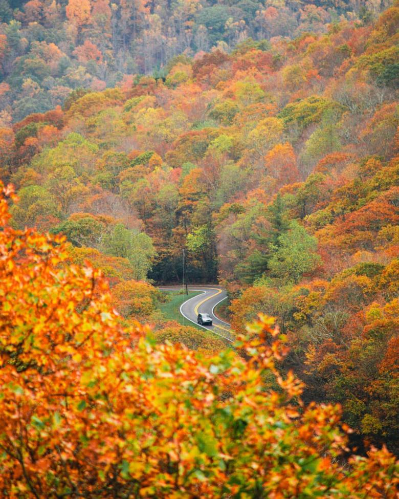 Scenic road near Brasstown Bald in Hiawassee, Georgia