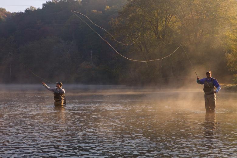Fly Fishing in Blue Ridge, Georgia
