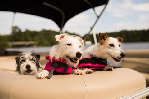 Boating on Lake Oconee. Photo credit: Harbor Club on Lake Oconee