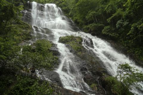 Amicalola Falls