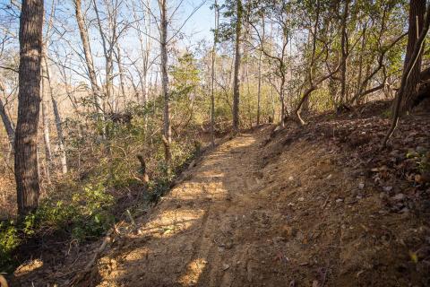 Chicopee Woods MTB Trails in Gainesville, Georgia