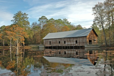 George L. Smith State Park in Twin City, Georgia