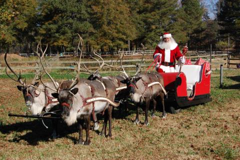 Santa and reindeer at Pettit Creek Farms in Cartersville, Georgia