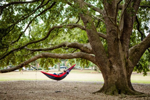 Student in a hammock in a tree at the Center for Wildlife Education in Statesboro, Georgia