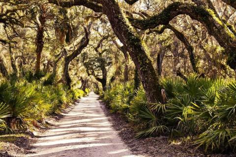 Cumberland Island Photo by Henry Sharp, @henrysharpphoto