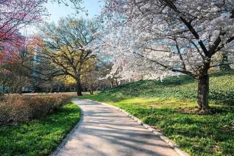 Piedmont Park in spring. Photo by Kimie Yates, @kimieyates