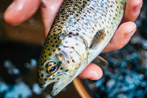 Fishing at Upper Chattahoochee Camp Ground. Photo by Lindsey Brown, @lindstakesphotos