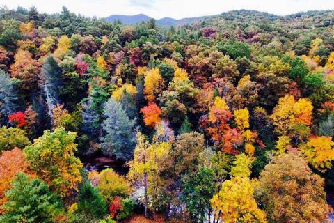 Fall colors in Blue Ridge, Georgia