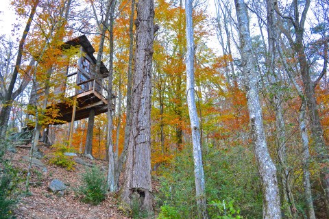 Secluded tree house in North Georgia