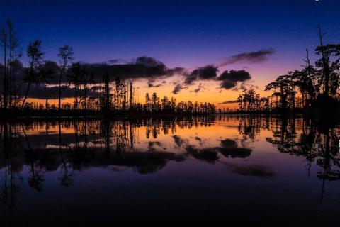 Stephen C. Foster State Park in Fargo, Georgia. Photo by @elvagogringo