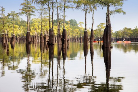 Kayaking at George L. Smith State Park in Twin City, Georgia. Photo by Ben Galland
