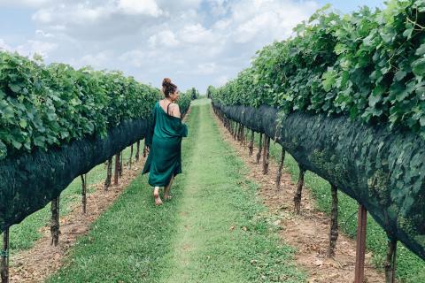 Yonah Mountain Vineyards & Winery in Cleveland, Georgia. Photo by @l0vlee
