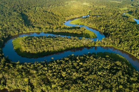 Aerial view of the Altamaha River in Georgia. Photo by Benjamin Galland