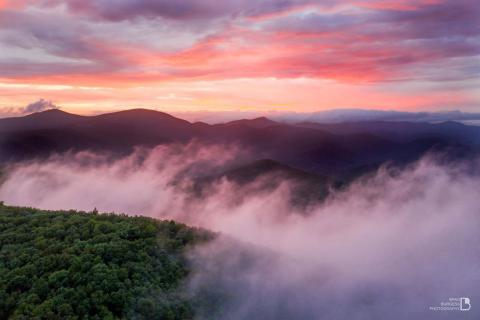 Woody Gap on the Appalachian Trail in Dahlonega, Georgia. Photo by @talkingexcitingly