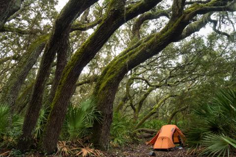 Camping on Cumberland Island. Photo by @mikerenner77