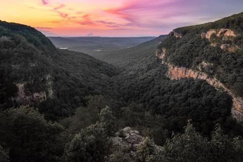 Cloudland Canyon State Park in Rising Fawn, Georgia. Photo by @billrubino