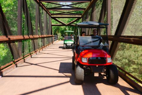 Two golf carts on a bridge in Peachtree City, Georgia