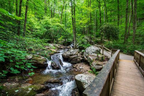 Anna Ruby Falls in Helen, Georgia
