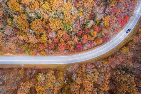 Overhead view of road in autumn near Hog Pen Gap in Blairsville, Georgia. Photo by @chrisgreerphotography