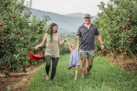 Apple picking in Ellijay