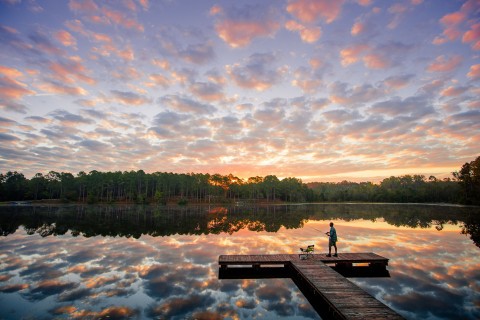 Jack Hill State Park in Reidsville