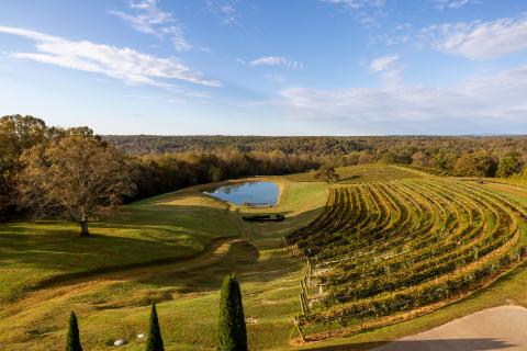 Montaluce Winery in dahlonega