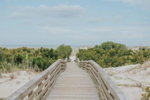 Boardwalk through the dunes on Cumberland Island, Georgia. Photo by @gcalebjones