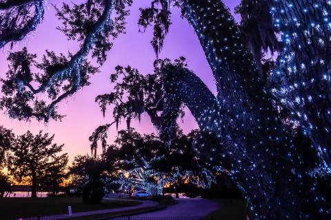 Holiday lights on Jekyll Island, Georgia