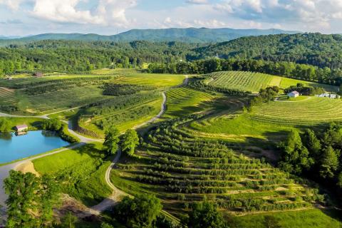 Aerial view of Mercier Orchards in Blue Ridge, Georgia