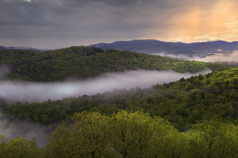 Misty view with low hanging clouds over the trees in Blue Ridge, Georgia