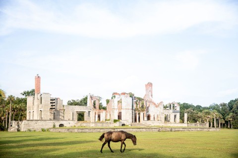 Day Trip to Cumberland Island | Explore Georgia