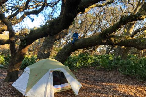 Tent camping on Cumberland Island, Georgia