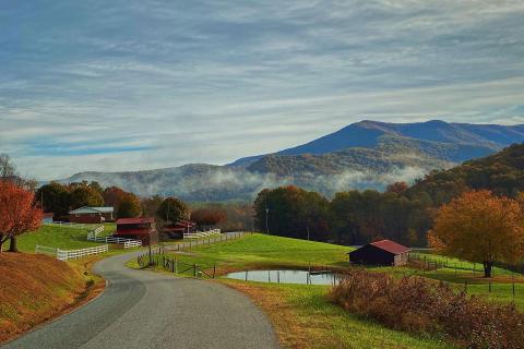 A gray asphalt road winds down a hill flanked by open, grassy lawns in North Georgia. There are clouds of mist in the distance right above the dense forest of trees colored red and orange for fall. In the background is the jagged hill of a mountain covered in trees.