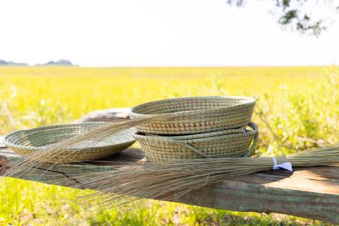 Handmade baskets on Sapelo Island, Georgia