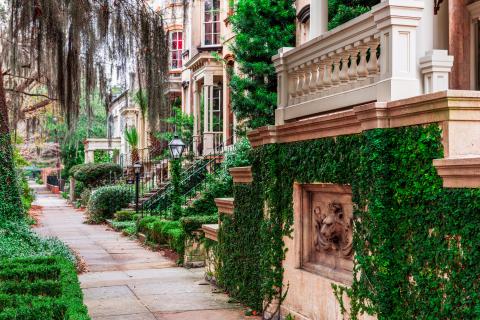 Savannah, GA Street Sidewalk