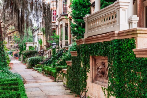 Savannah, GA Street Sidewalk