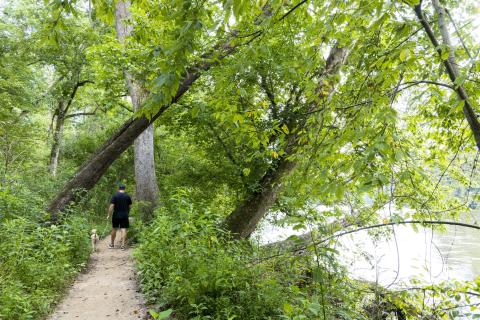 A man and dog hiking along the Chattahoochee River in Atlanta, Georgia