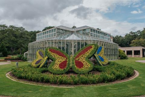 Flower display in the shape of butterflies in front of a glass greenhouse