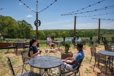 couple and dogs at an outside seating area at Montaluce Winery