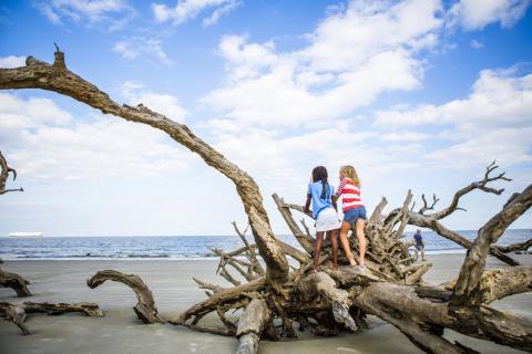 Two young girls on a large piece of driftwood on Jekyll Island's Driftwood Beach