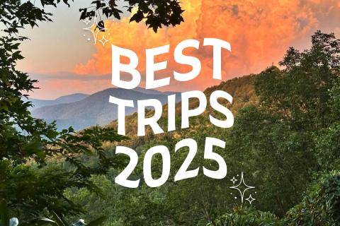 Best Trips 2025 zodiac
